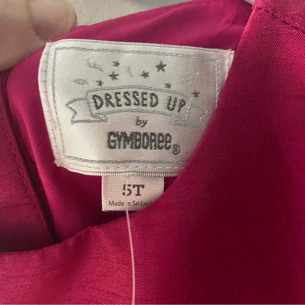 Gymboree Pink and Black Floral Dress